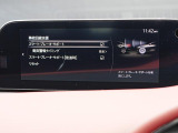 こちらのお車には先進安全装備が多数搭載されています。衝突被害を回避あるいは軽減するためのブレーキや、後方死角からの接近警報、車線逸脱を防止する警報装置など、詳しくはスタッフまでお尋ねください。