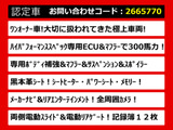 エルグランド 3.5 ライダー ハイパフォーマンススペック ブラックライン 