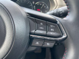 アダプティブクルーズコントロール装備で、高速道路を使用する長旅でも。疲労感を感じることなく運転していただけます!