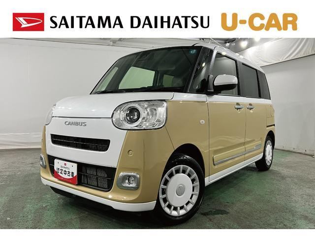 ムーヴキャンバス  ストライプス G