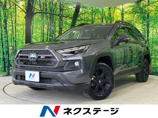 RAV4 2.5 ハイブリッド アドベンチャー オフロードパッケージ II E-Four 4WD