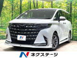 ガラスルーフ モデリスタエアロ 後席モニター ユニバーサルステップ