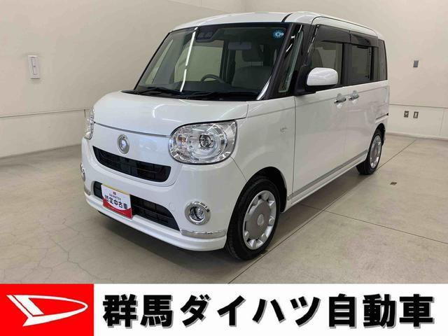ムーヴキャンバス G メイクアップ リミテッド SAIII 