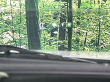 【ヘッドアップディスプレイ】現在の速度や走行情報をデジタル表示で運転席前方のガラスに投影!運転中、目線をずらさず必要な情報を確認できるのでとっても便利で安心!