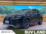 10.3型メーカーナビ バックサイド・カメラ 衝突被害軽減システム
