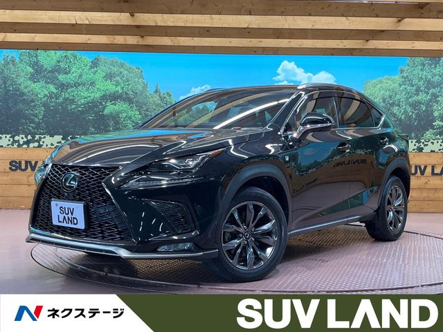 NX 300 Fスポーツ 