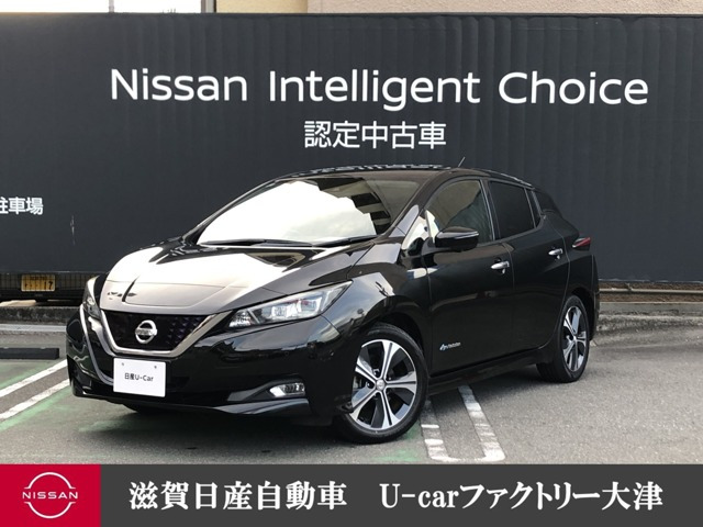 リーフ G