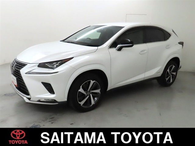 NX 300h スパイス&シック