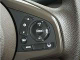 ◆アダプティブクルーズコントロール◆予め設定した車速内でクルマが自動的に加減速。前走車との適切な車間距離を維持しながら追従走行します。【LKAS】車線維持支援システムでステアリング操作を支援。