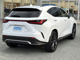 NX 350h Fスポーツ 