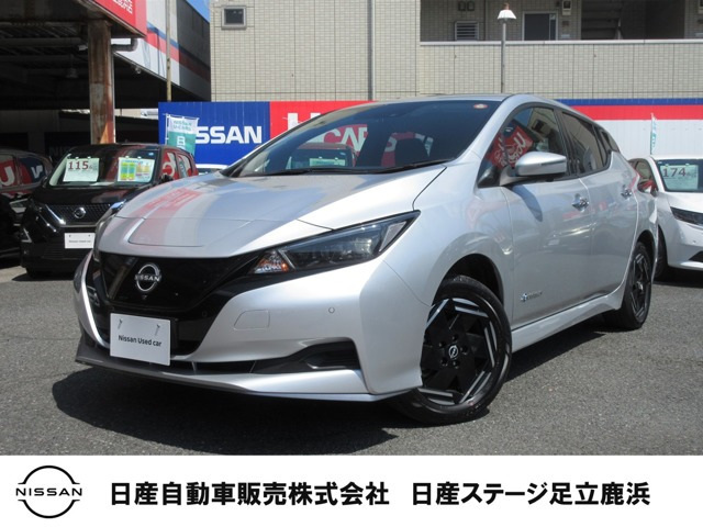 リーフ e+ X 