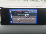 TV付きです。