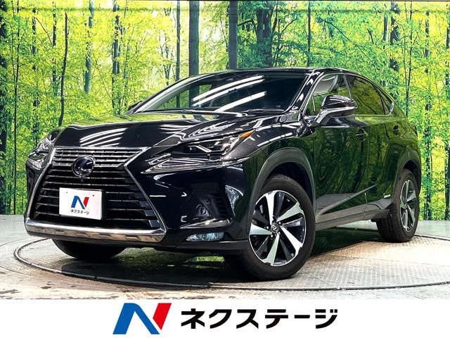 NX 300h Iパッケージ 