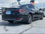 ES 300h 