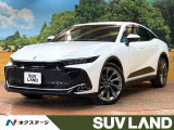 全周囲カメラ 黒革 デジタルインナーミラー レーダークルーズ 電動リア