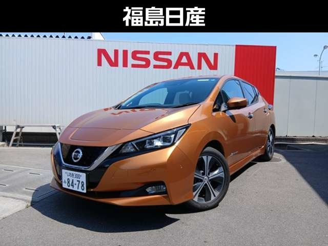 リーフ G 