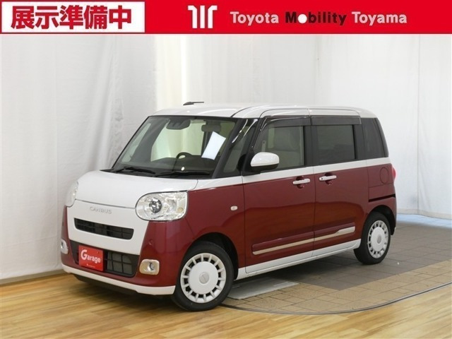 ムーヴキャンバス ストライプス G