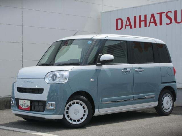 ムーヴキャンバス  ストライプス G
