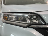 LEDヘッドライトは、点灯の瞬間から最大光量を発揮し、突然暗くなるトンネルなどでの安定感を高めます。