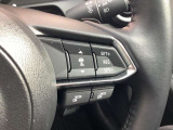 ステアリングスイッチで、先行車に自動追従するアダプティブクルーズコントロールが作動可能。設定した車速内での車間距離を自動で調整・維持。高速道路の渋滞時もアクセル・ブレーキ操作から解放されます。