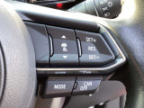 ステアリングスイッチで、先行車に自動追従するアダプティブクルーズコントロールが作動可能。設定した車速内での車間距離を自動で調整・維持。高速道路の渋滞時もアクセル・ブレーキ操作から解放されます。