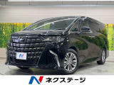 純正14型ナビ 全周囲カメラ 後席モニター ガラスルーフ