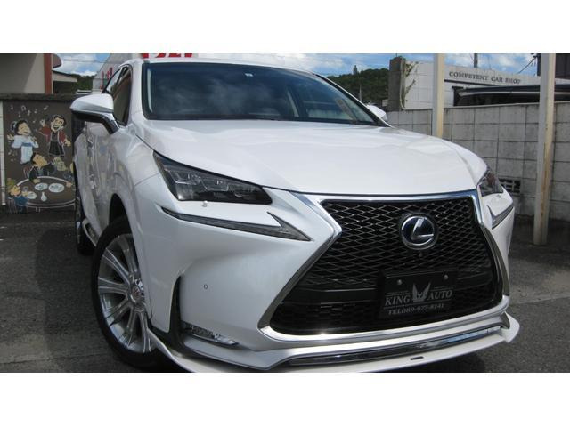 NX 300h Iパッケージ 