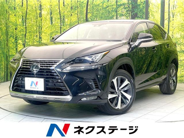 NX 200t Iパッケージ