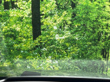 前方から視線をそらすことなく運転に集中できる、オプションのヘッドアップディスプレイ。速度、ナビゲーションの指示など、主要な情報をフロントウィンドウに映し出します。オン/オフは自由に設定できます。