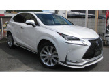 NX 300h Iパッケージ 