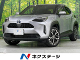 全周囲カメラ 100V電源 衝突被害軽減システム レーダークルーズ