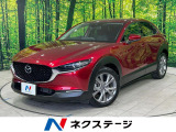 スマートブレーキサポート レーダークルーズコントロール メーカーナビ