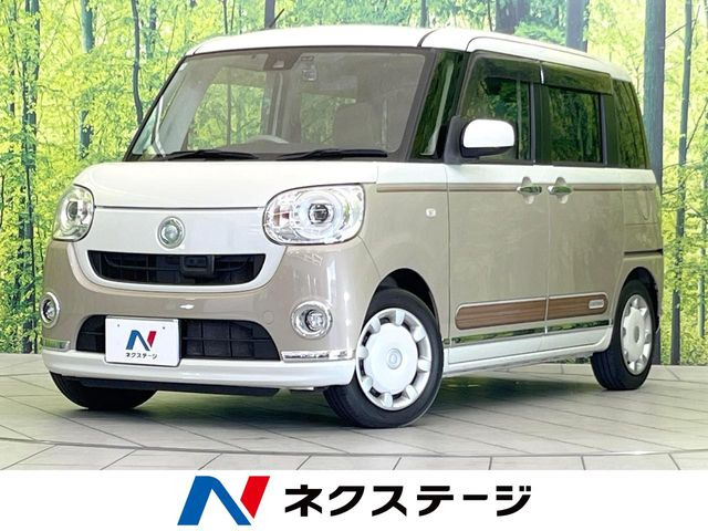 ムーヴキャンバス G メイクアップ SAII