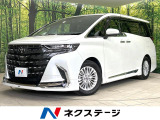 両側電動ドア 後席モニター ブラインドスポットモニター 全周囲カメラ