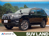 サンルーフ 7人乗り BIGX9型ナビ ルーフレール バックカメラ