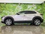 CX-30 2.0 20S 