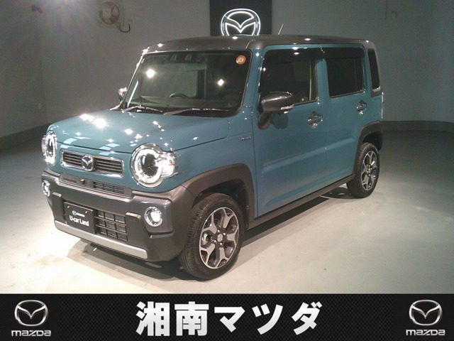 フレアクロスオーバー XT