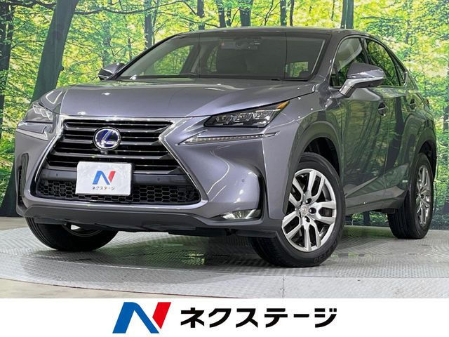 NX 300h Iパッケージ 