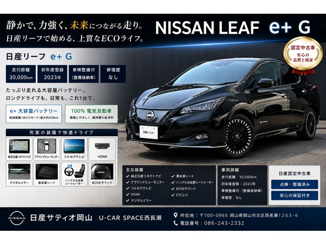 リーフ e+ G 