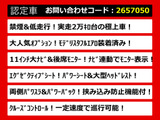 アルファード 2.5 S Cパッケージ 11インチ大ナビ 低走行 禁煙車
