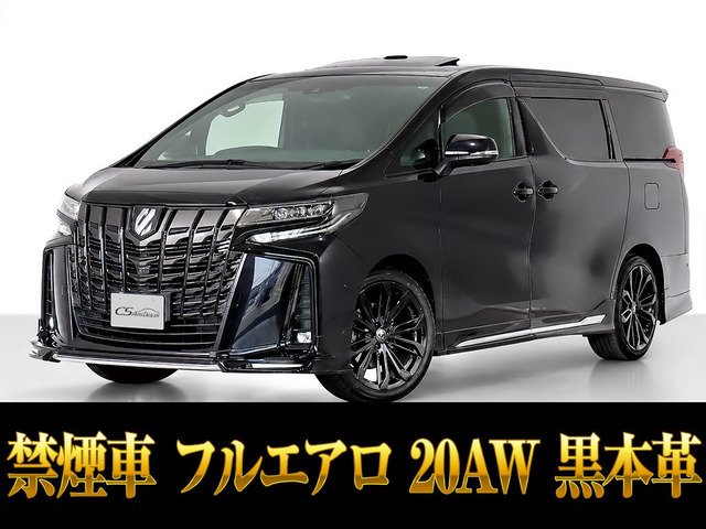 アルファード 3.5 エグゼクティブ ラウンジ S 20インチAW エアロ