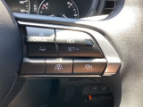 ミリ波レーダーで低速域〜高速域まで、先行車との車間を維持しながら追従走行を可能にします。長距離走行などでドライバーの負担を軽減します。