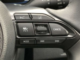 前方の車との車間を設定し、スピードを上げたり緩めたりを自動で行ってくれる追尾式の「レーダークルーズ」。上級装備の一つです!高級車にしかつかない嬉しい機能です。