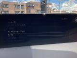 さまざまなオーディオソースが楽しめます!地デジつき!スマホとの連動も楽々です♪