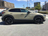 CX-30 2.0 20S ブラックトーンエディション