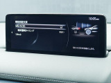 こちらのお車には先進安全装備が多数搭載されています。衝突被害を回避あるいは軽減するためのブレーキや、後方死角からの接近警報、車線逸脱を防止する警報装置など、詳しくはスタッフまでお尋ねください。