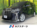 モデリスタエアロ 両側電動ドア BIG-X11型ナビ 後席モニター