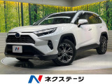 4WD 10型ナビ バックカメラ 衝突被害軽減システム レーダークルーズ