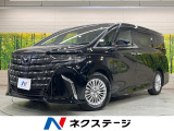 純正9.8型ディスプレイ 後席モニター 全周囲カメラ 両側電動スライド