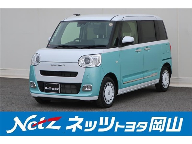 ムーヴキャンバス  ストライプス G